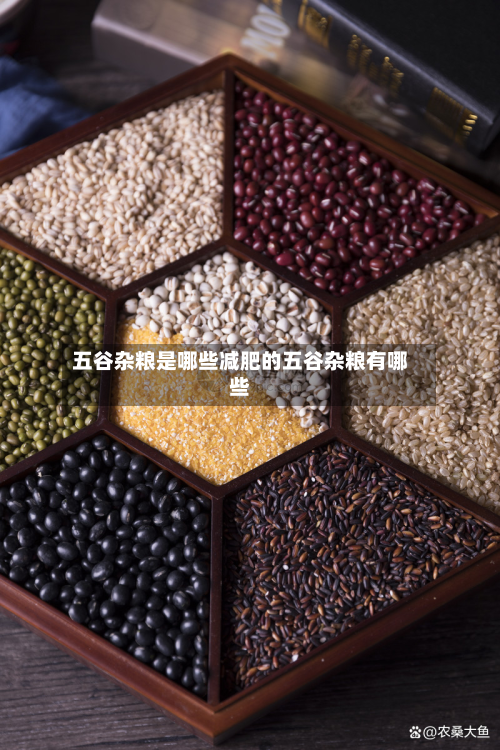 五谷杂粮是哪些减肥的五谷杂粮有哪些