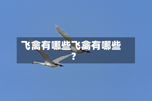 飞禽有哪些飞禽有哪些?