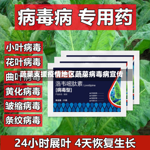 蔬菜支援疫情地区蔬菜病毒病宣传