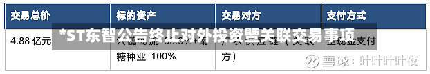 *ST东智公告终止对外投资暨关联交易事项