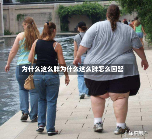 为什么这么胖为什么这么胖怎么回答
